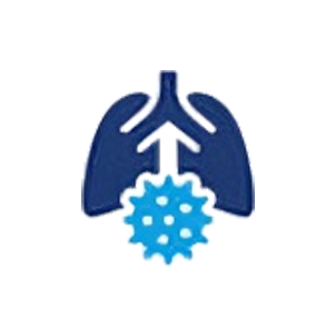 brain-image